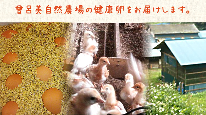 曽呂美自然農場：曽呂美自然農場の健康卵をお届けします